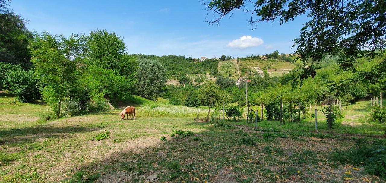 Agriturismo Il Burlino Apartments Lerma Eksteriør bilde