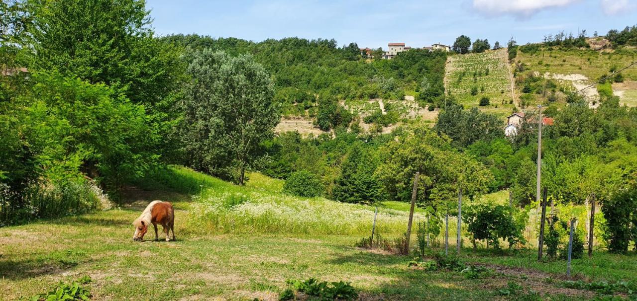 Agriturismo Il Burlino Apartments Lerma Eksteriør bilde