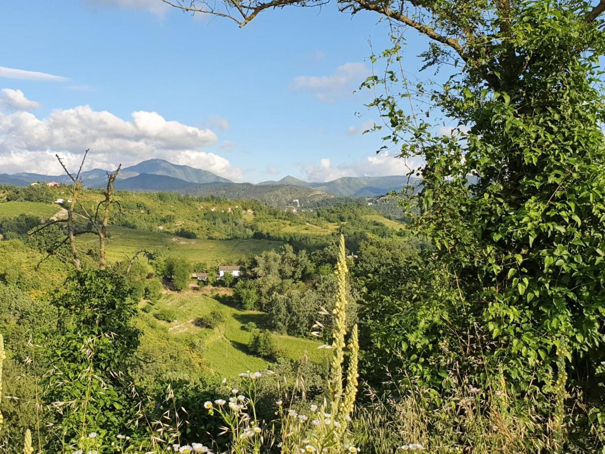 Agriturismo Il Burlino Apartments Lerma Eksteriør bilde