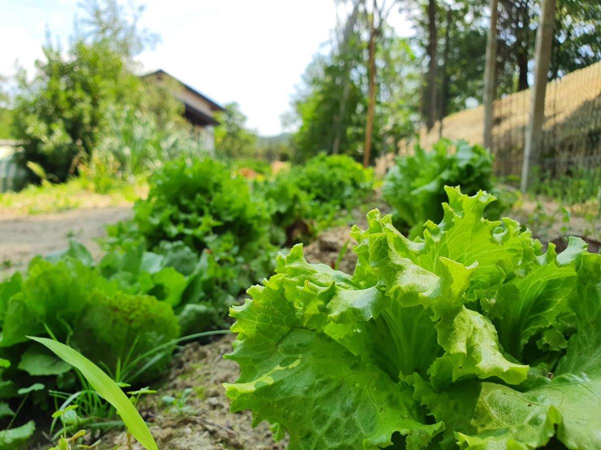 Agriturismo Il Burlino Apartments Lerma Eksteriør bilde